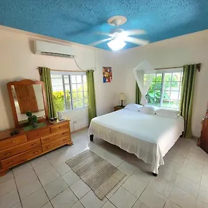 *** Guest house Green's Palace Jamaica Jamaica