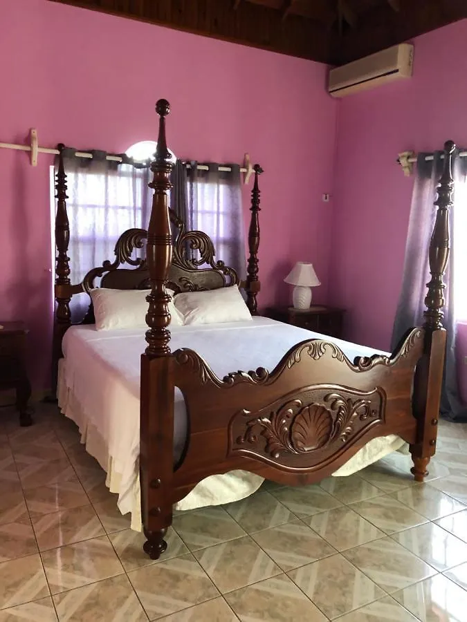 Hotel Star Castle Guest House Whitehouse