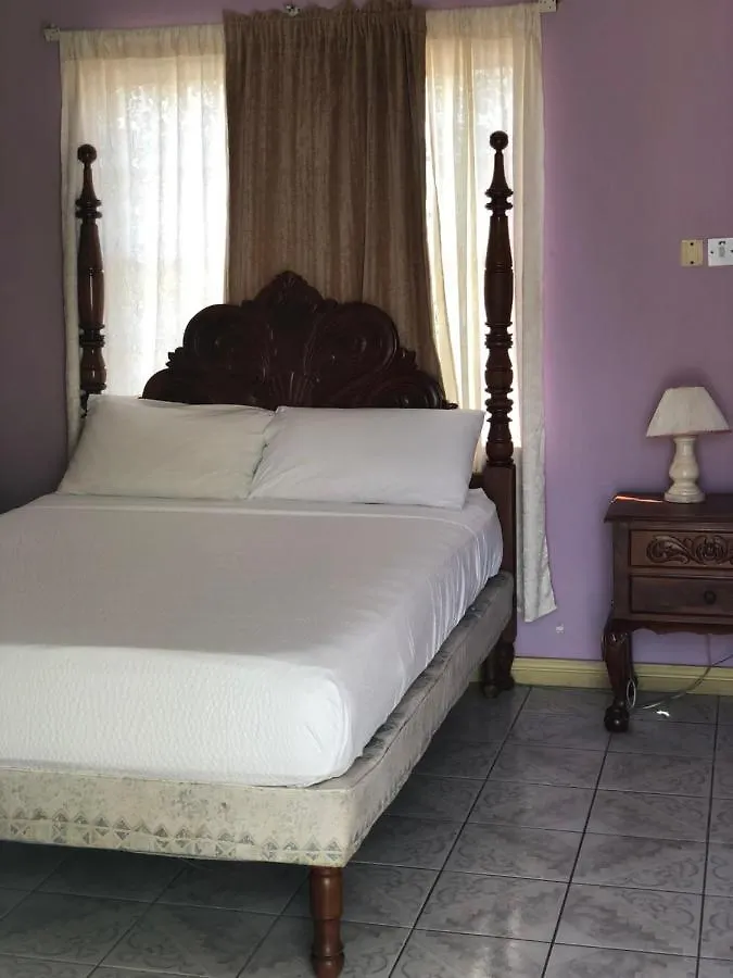 *** Hotel Star Castle Guest House Whitehouse Jamaica